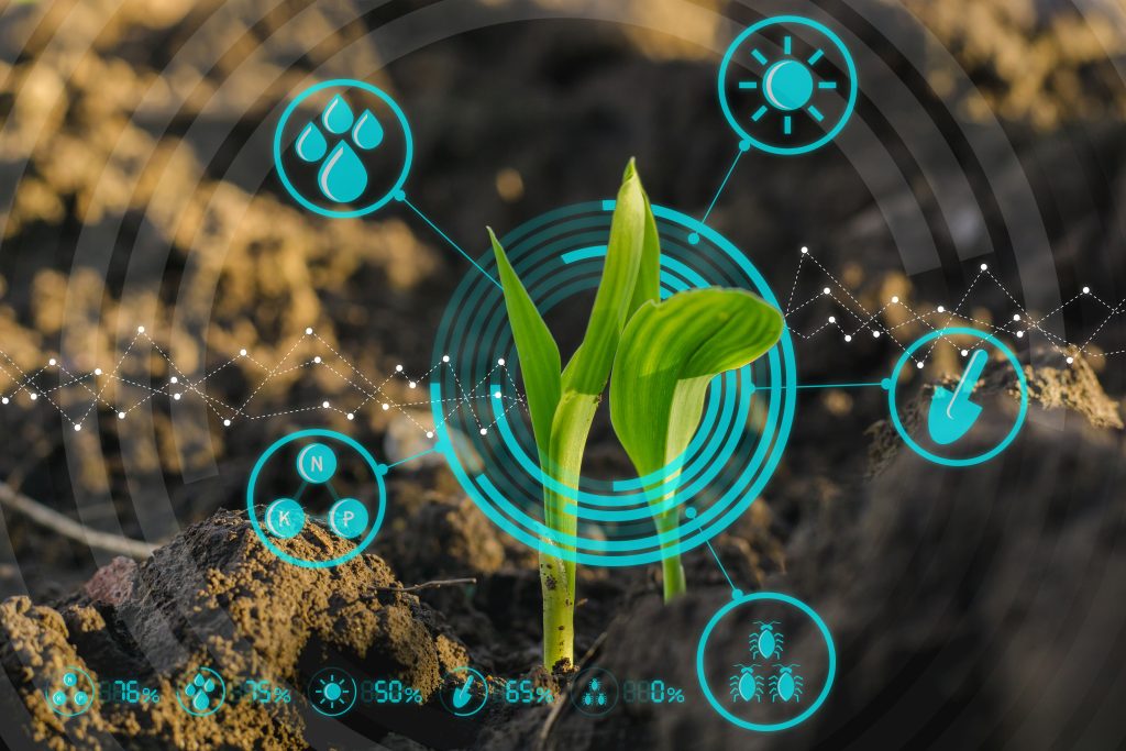 Como IoT, Blockchain e IA estão mudando o agro?