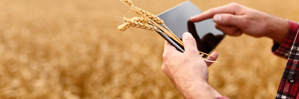 White Paper: Agronegócio brasileiro