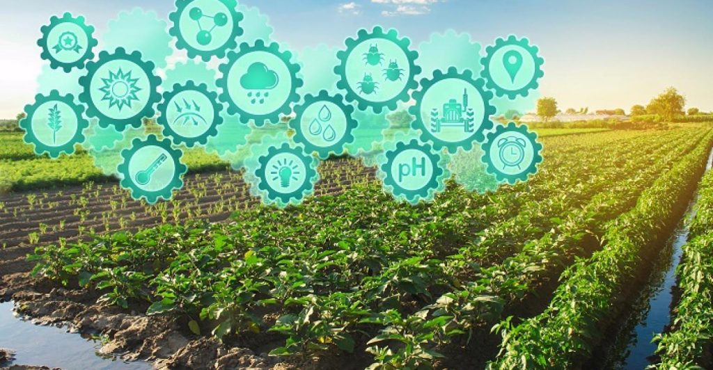 AgTechs e sua colaboração com a logística agropecuária