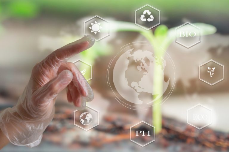 Tudo o que você precisa saber sobre smart farming