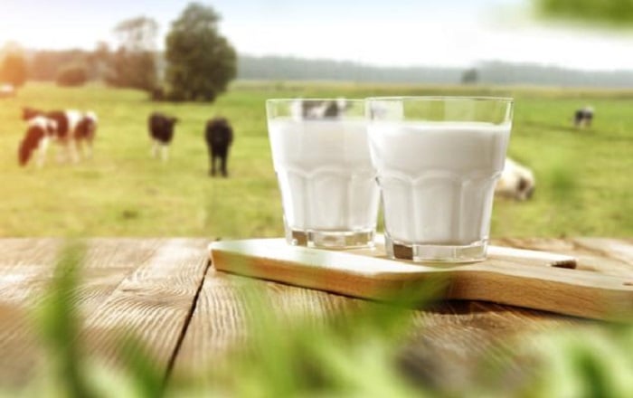 Novas solues em ordenha e os robs na produo leiteira.jpg