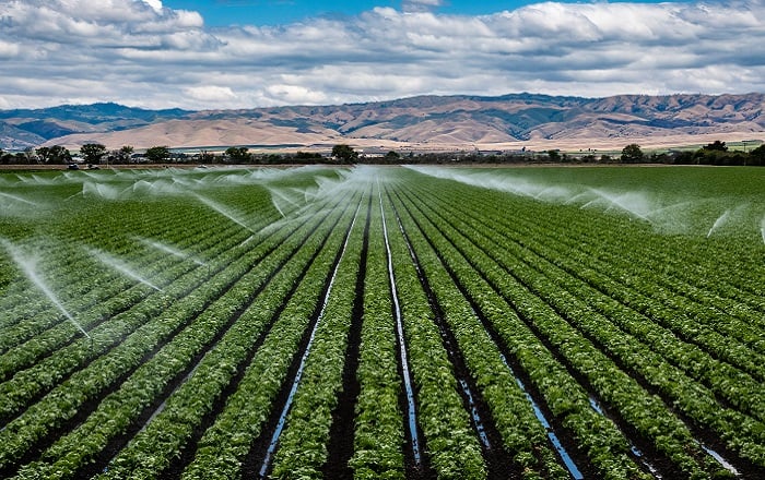 4 Dicas para calcular a irrigação na sua propriedade.jpg