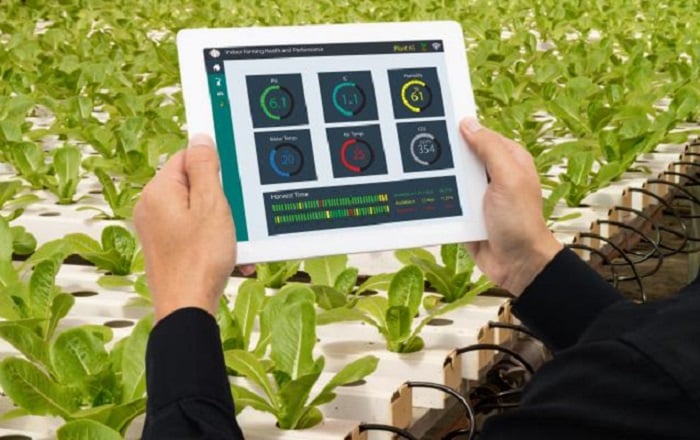 Monitoramento da produção agricola.jpg