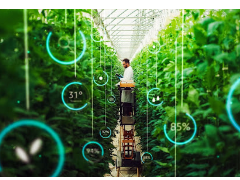 A imagem mostra uma estufa agrícola moderna, com forte presença de tecnologia IoT (Internet das Coisas) integrada ao ambiente de cultivo.