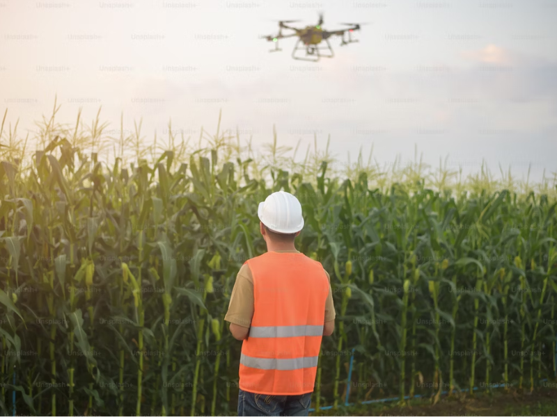 A imagem mostra uma aplicação prática de IoT (Internet das Coisas) na agricultura.