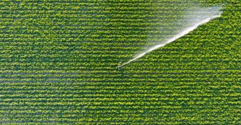 Agricultura Irrigada