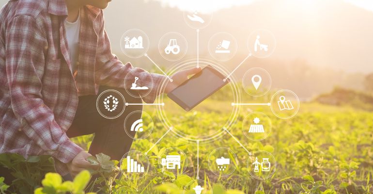 Sensores agrícolas: 6 aplicações para a agricultura