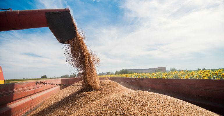 Logística agroindustrial: conceito, gestão e novas tecnologias