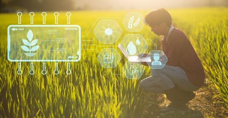 Software de gestão no campo: cruzamento de dados e ganho em eficiência