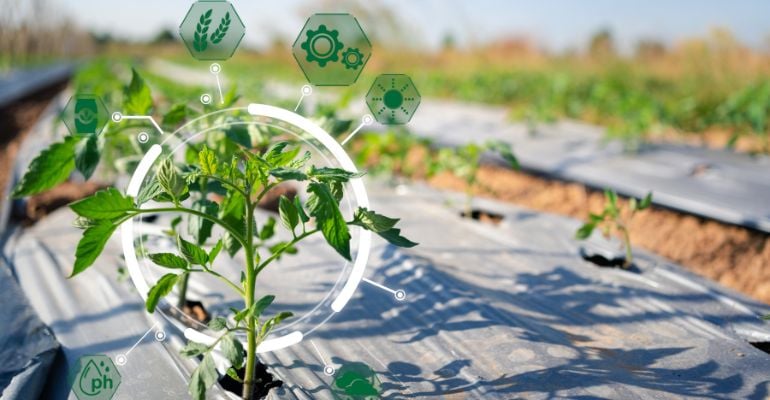 Tendências da inteligência artificial no agronegócio