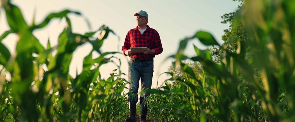 Conectividade no agronegócio: Como as tecnologias inovam o dia a dia do produtor rural
