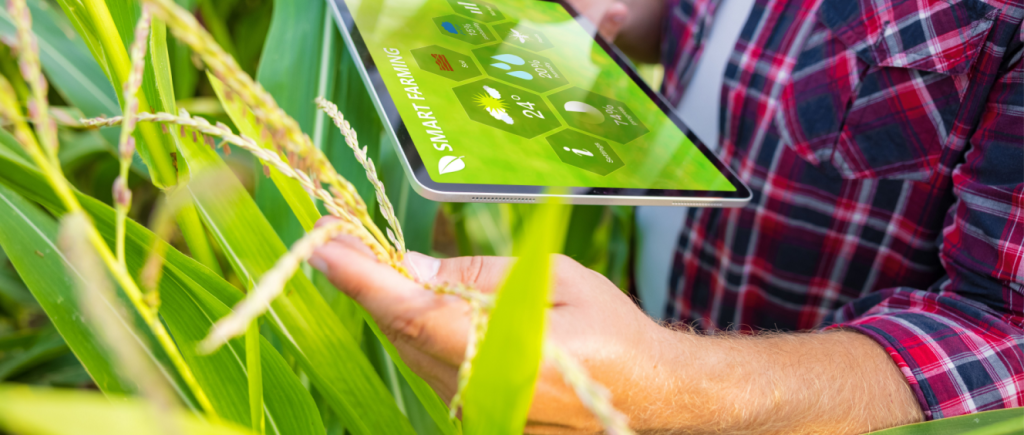 ISPs no agro: como pequenos provedores têm ganhado protagonismo no campo?