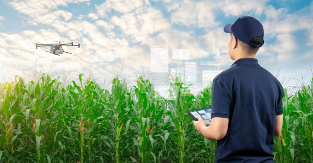 IA e dados transformam rastreabilidade no agronegócio