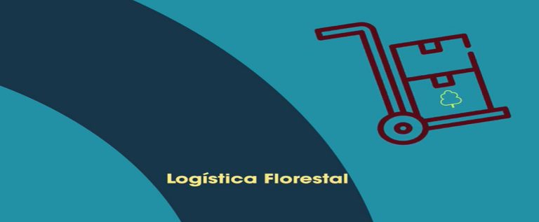 capa do artigo escrito logística florestal