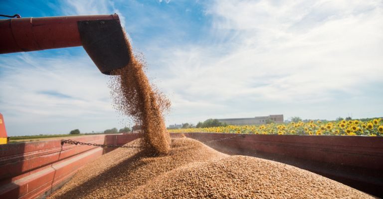 Logística agroindustrial conceito, gestão e novas tecnologias.jpg