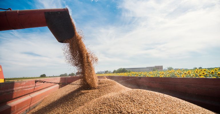 Logística agroindustrial: conceito, gestão e novas tecnologias