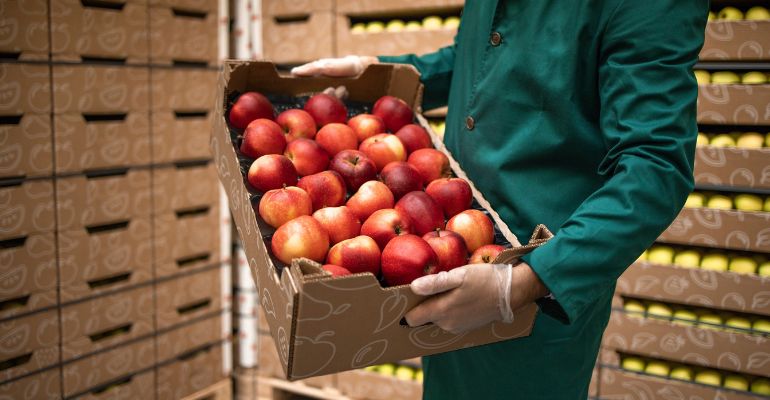 O transporte de alimentos na cadeia fria