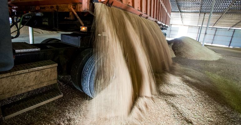 Armazenamento on-farm grãos na propriedade rural