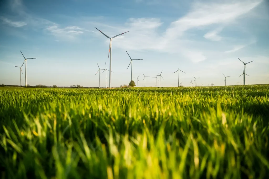Eficiência Energética: descubra como funciona, os tipos e vantagens
