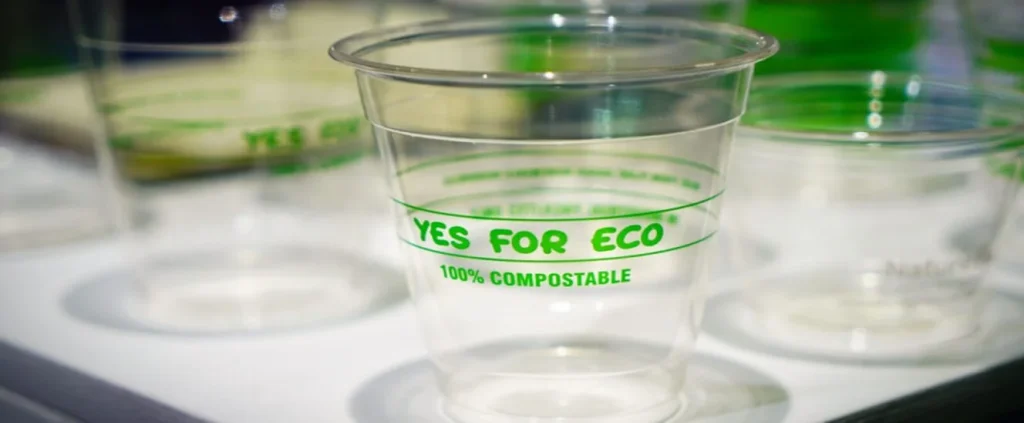 Desafios da produção de bioplásticos na indústria e a viabilidade da reciclagem