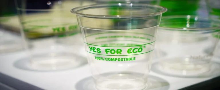 copo fabricado a partir da produção de bioplásticos na indústria