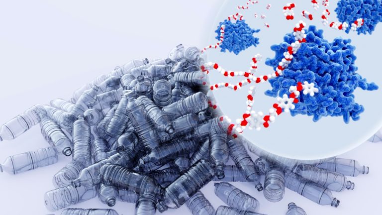 Conheça a reciclagem enzimática: o que é, como funciona e seu desafios