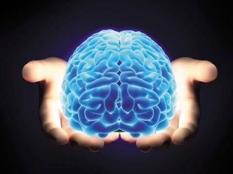 1174928_10151691769070345_1693238508_n