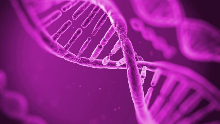 1757-de-lado-na-bolsa-fleury-trabalha-em-silencio