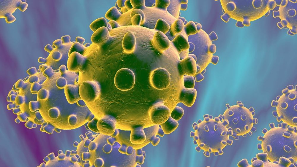 Hospitais falam sobre as medidas no combate à pandemia de coronavírus