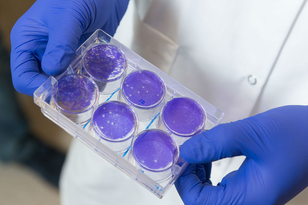 Como o Google pretende ajudar a entender Zika e o paradoxo do século