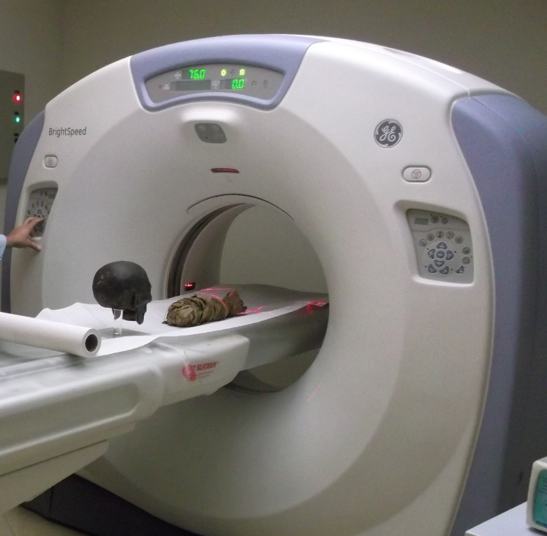 Dasa, Museu Nacional e PUC-Rio promovem o 1° Seminário de Tecnologias Tridimensionais Aplicadas à Pesquisa Científica