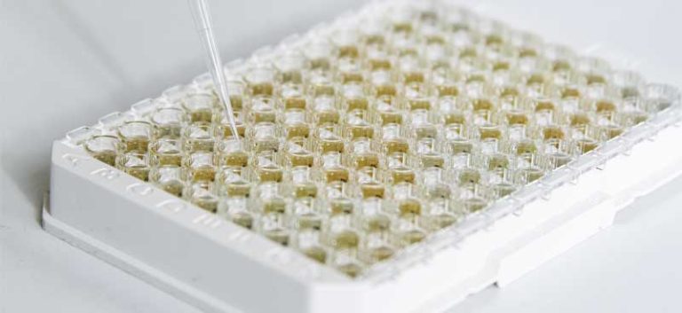 ELISA-EUROIMMUN-Brasil-Tecnica