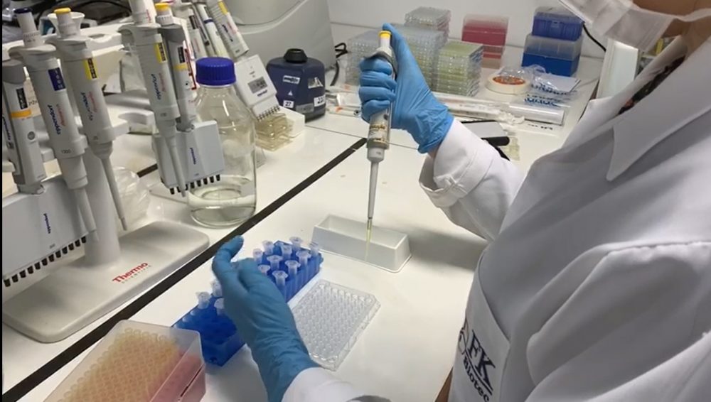 Laboratório gaúcho será o primeiro no Brasil a disponibilizar teste inovador para COVID-19