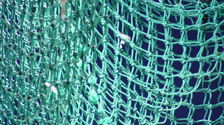 PEP é crucial para atenção em rede