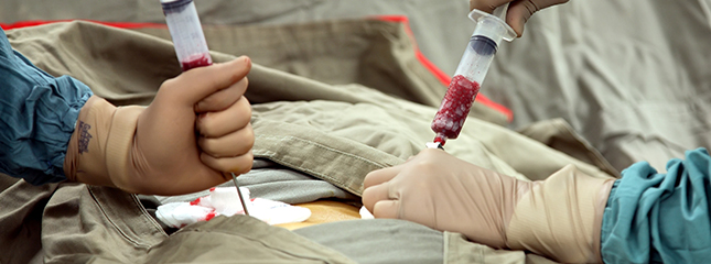 Transplante-de-Medula-Óssea