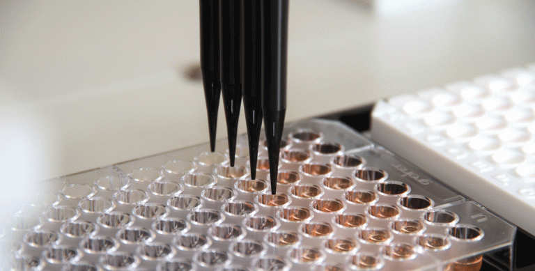 Núcleo Técnico Operacional (NTO)