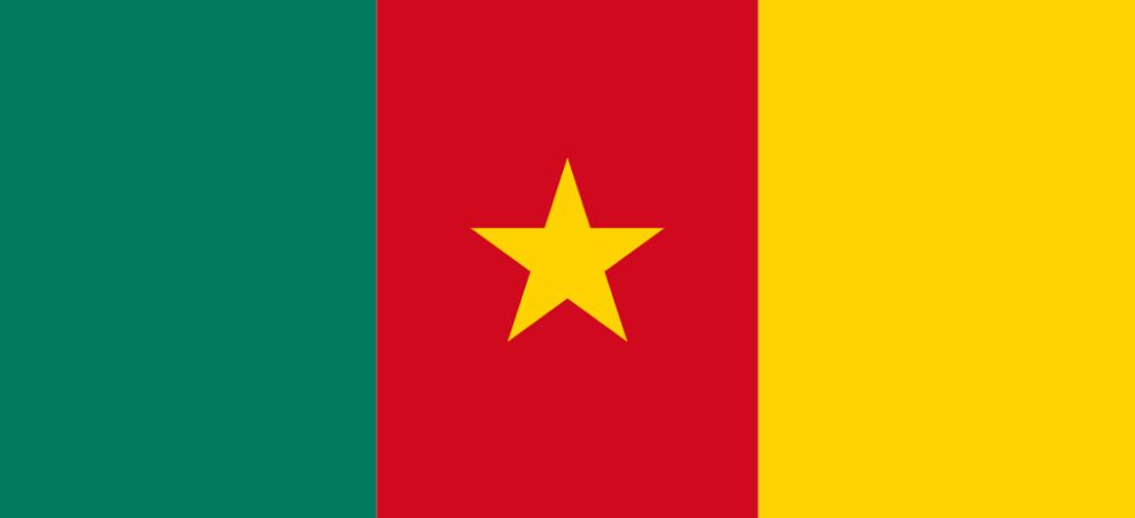 Camarões | Copa dos Sistemas de Saúde