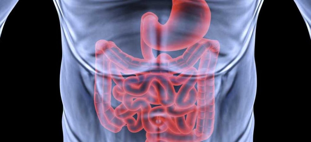 Adeus Constipação Intestinal, Conheça Mais essa Inovação em Saúde