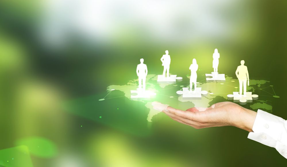 Os beginners, followers e o novo normal