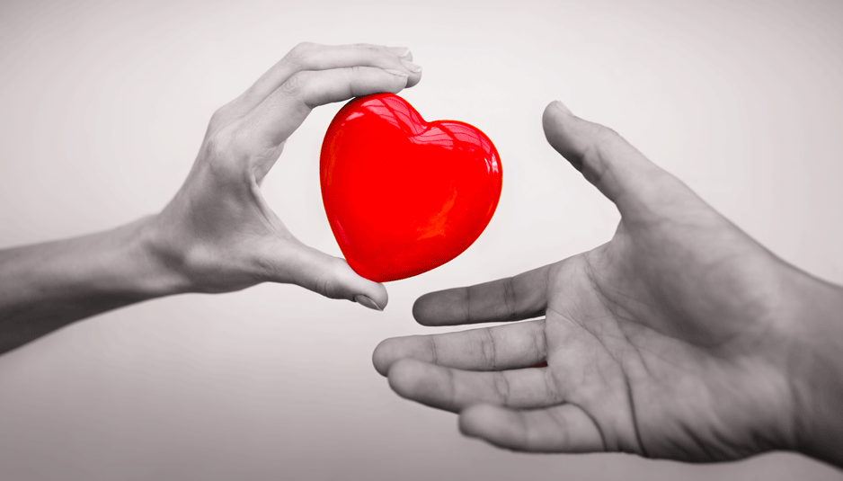 Alunos criam aplicativo para agilizar transplante de órgãos