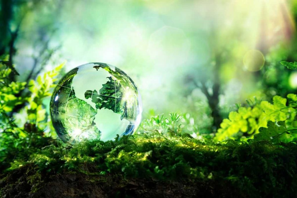 Healing Buildings, mais do que sustentável