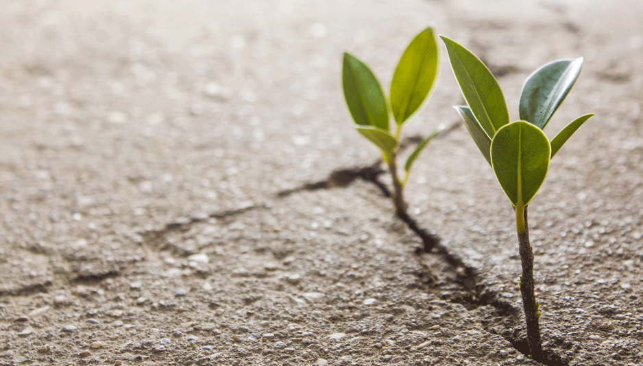 Comitê de Ética da Indústria começa a trabalhar