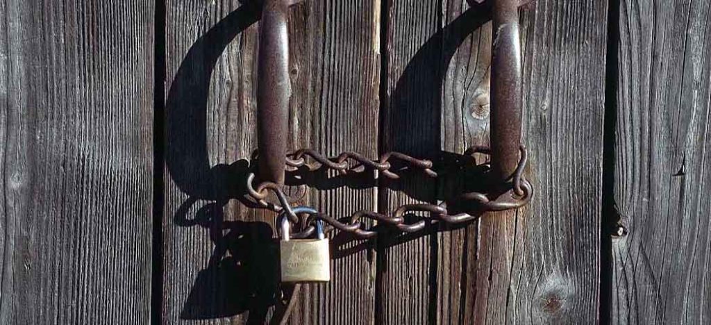 O Segredo da Estratégia Digital da Eli Lilly no Setor Farmacêutico