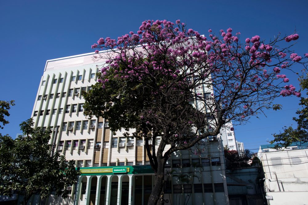 Hospital Infantil São Camilo Unimed completa 40 anos