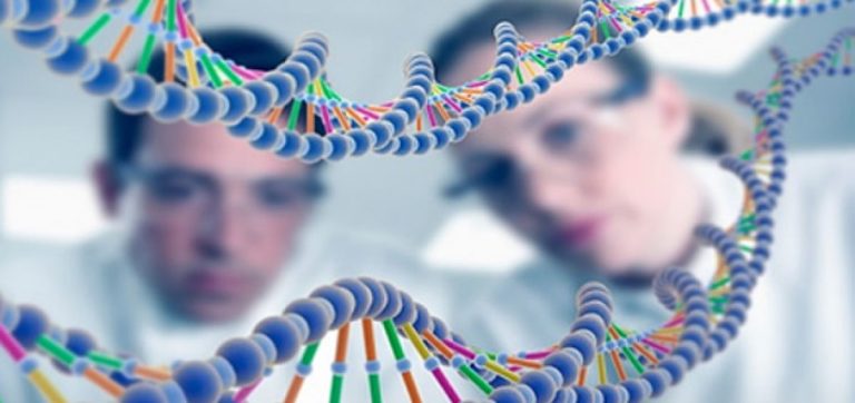 genetica-1200x565