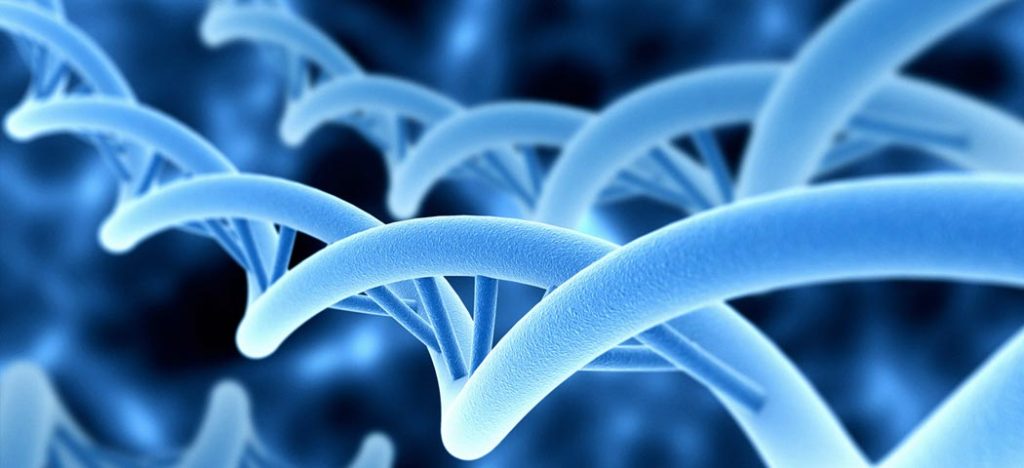 Startup avança no sequenciamento do genoma humano para câncer