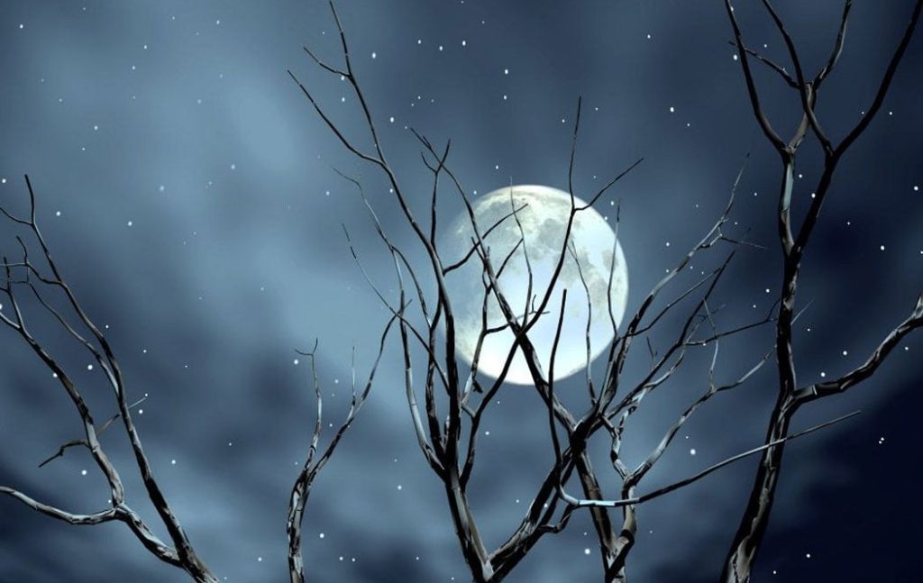 Por quê Fleury, CURA e Sérgio Franco trabalham até de madrugada?