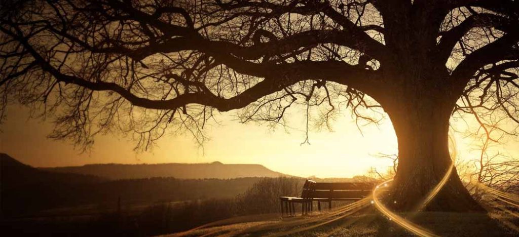 6 Fatos sobre a importância do empreendedorismo