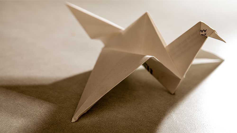 De quem é a informação do prontuário?