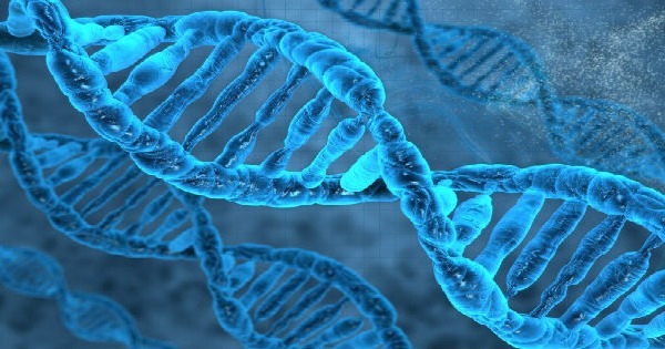 introducao-a-genetica-og